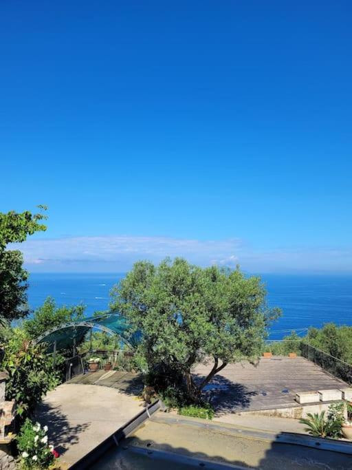 マッサ・ルブレンセ Sun & Relax, Relaxing Location With Seaviewヴィラ エクステリア 写真
