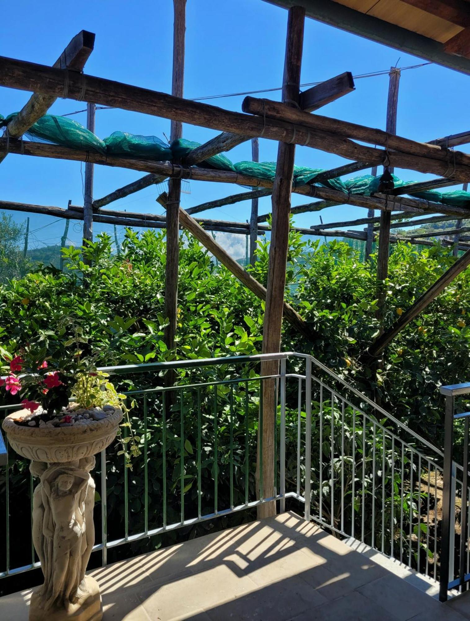 マッサ・ルブレンセ Sun & Relax, Relaxing Location With Seaviewヴィラ エクステリア 写真